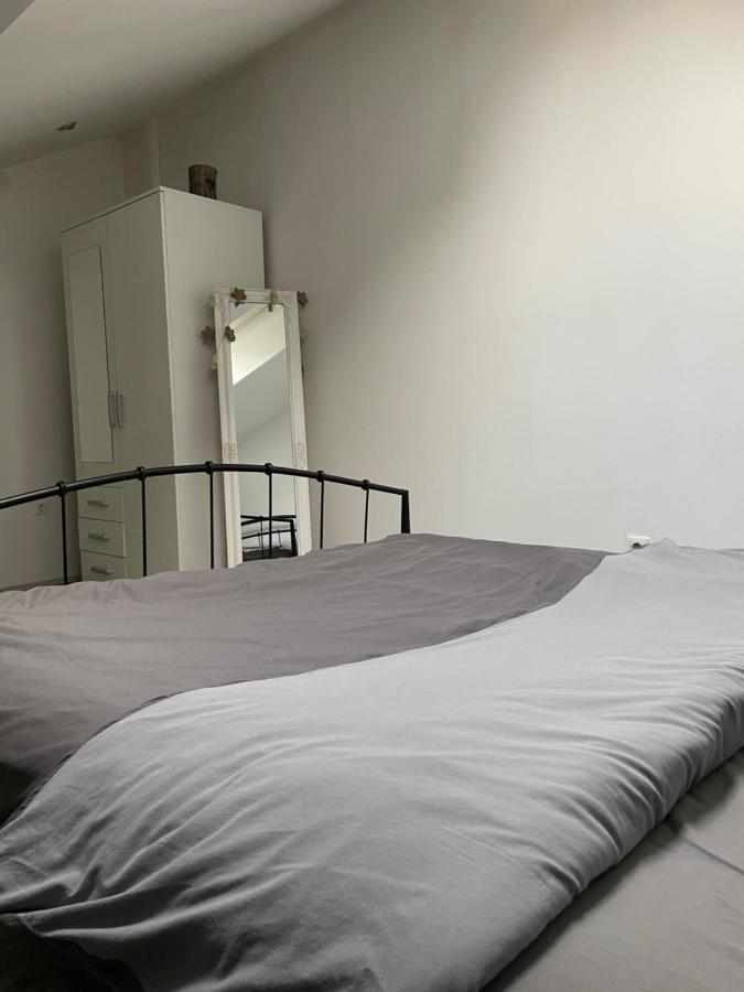 Апартаменти Apartman Rakovac Карловаць Екстер'єр фото